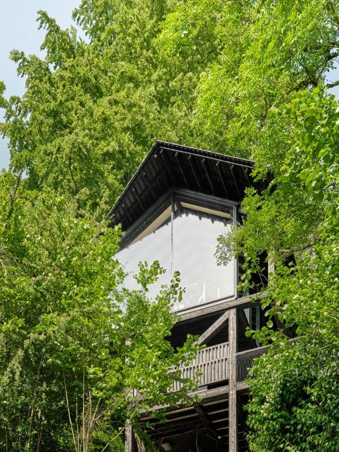 Hutstuf The Beaver & Private Outdoor Spa La-Roche-en-Ardenne Eksteriør bilde